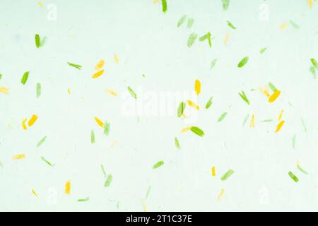 Handmade recycled paper from leaves background. Stock Photo
