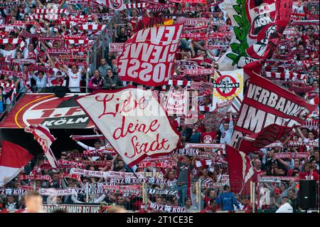 Fans des 1. FC Köln mit Fahnen 1.FC Koeln - Borussia Dortmund 2:1 in Koeln, Deutschland am 18.10.2014 Stock Photo