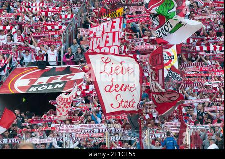 Fans des 1. FC Köln mit Fahnen 1.FC Koeln - Borussia Dortmund 2:1 in Koeln, Deutschland am 18.10.2014 Stock Photo