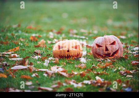 Two Halloween Pumpkins in the autumn park. Stock Photo
