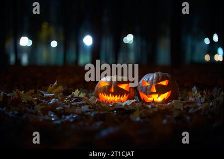 Two glowing Halloween Pumpkins in the park at night. Stock Photo
