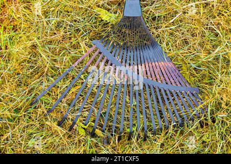 metal rake lies on dry grass in the garden. hay making. garden cleaning ...