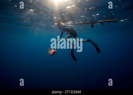 Under water view of a free diver pulling  in a recently speared fish beneath the sun illuminated surface of the ocean in Costa Rica. Stock Photo