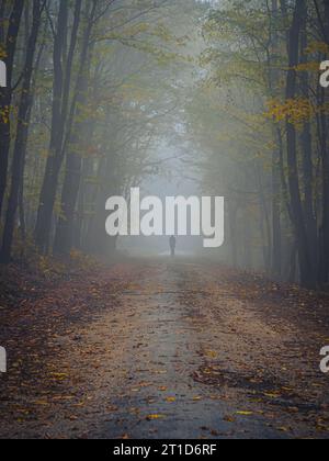 Silhouette of a lonely person man on a foggy autumn forest road colorful leaves and trees Stock Photo
