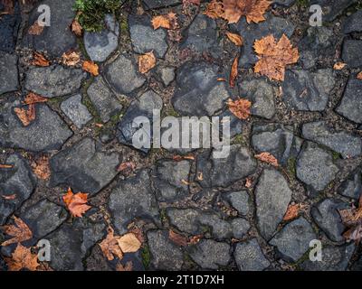 Autumn leaves on a cobblestone pavement road top down view background wallpaper texture Stock Photo