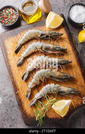 Fresh uncooked black tiger prawns with lemon, spices and rosemary close-up on a cutting board on the table. Vertical top view from above Stock Photo