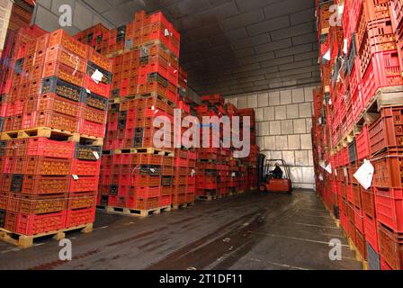 Apricot Storage Post-harvest storage of apricots in a refrigerated warehouse Stock ...