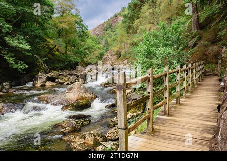 View along boardwalk path beside Afon Glaslyn River in Aberglaslyn Pass in Snowdonia National Park. Beddgelert, Gwynedd, North Wales, UK, Britain Stock Photo