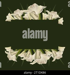 Watercolor gladioluses. Floral banner, frame with white flowers, buds and leaves Hand painted isolated illustration on dark background. Botanical Stock Photo