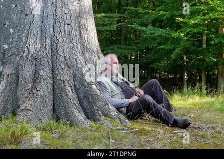 An elderly man finds relaxation nestled within the gnarled roots of an ancient, towering tree, a symbol of timeless wisdom and protection. Stock Photo