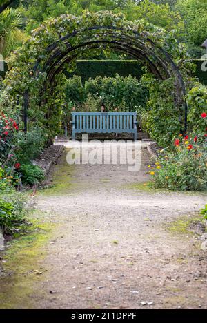 Serene Garden Path with Wooden Archway and Japanese Maple Stock Photo ...