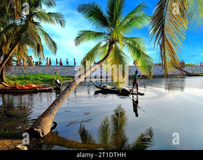 A fisherman paddling his catamaran in backwaters seen behind curved coconut trees grown towards water from the bank with people walking on a wall Stock Photo