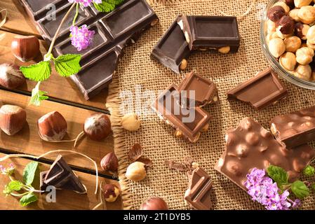 Milk and dark of chocolate with hazelnuts on wooden table with nuts and ingredients outdoor. Top view. Stock Photo