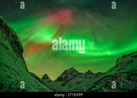 Green and red northern lights over the mountains, Bergsbotn, Senja, Troms og Finnmark, Norway Stock Photo