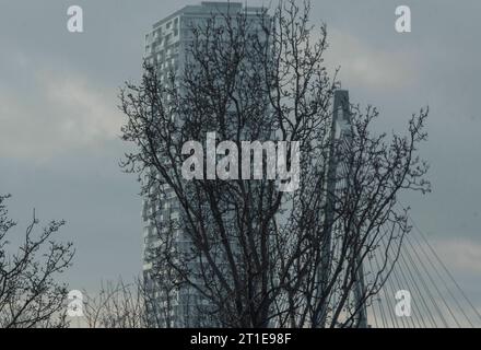 urban greening through tree growth, symbiosis of architecture and nature urban greening through tree growth Stock Photo