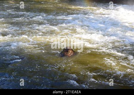 Cascade de Coo, Waterfall in the Ardennes in Belgium Stock Photo