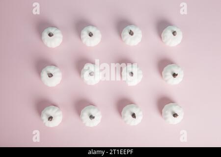 white mini pumpkins aligned symmetrically in rows and columns on a pastel pink background. Minimalist, trendy still life photography. Stock Photo