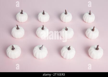 white mini pumpkins aligned symmetrically in rows and columns on a pastel pink background. Minimalist, trendy still life photography. Stock Photo