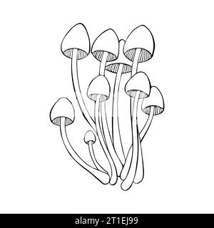 Poisonous mushrooms Mycena renati, hand-drawn doodle sketch with a beautiful cap, family Mycenaceae. Isolated, white background. Vector illustration Stock Vector
