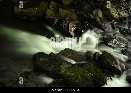 Melincourt Brook just below Melincourt Falls. Stock Photo