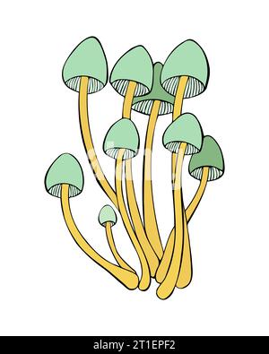 Mushrooms family Mycena, hand-drawn doodle sketch with beautiful cap. Isolated, white background. Vector illustration Stock Vector