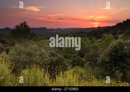 Sunset at the Chaîne des Alpilles, a small mountain range in Provence, Sothern France Stock Photo