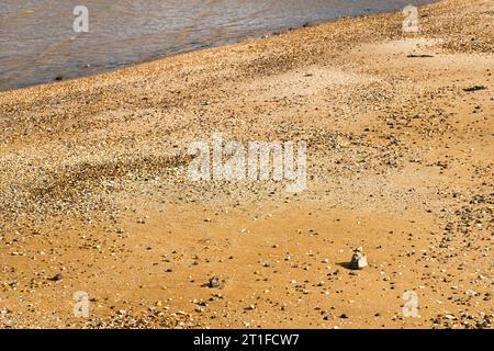 Very strong side light showing pebbles and small shells on a sandy beach Stock Photo