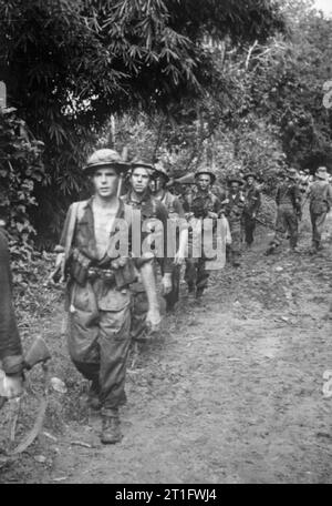 The British Army in Burma 1944 British troops marching through the jungle, 1944. Stock Photo