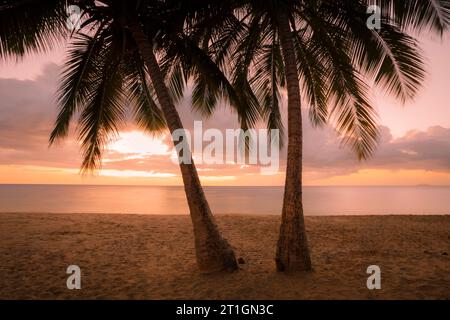 Palm sunset on Rincon beach in Puerto Rico. Stock Photo