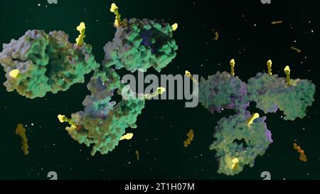 Antibody drug conjugates (ADCs) are targeted medicines that deliver ...