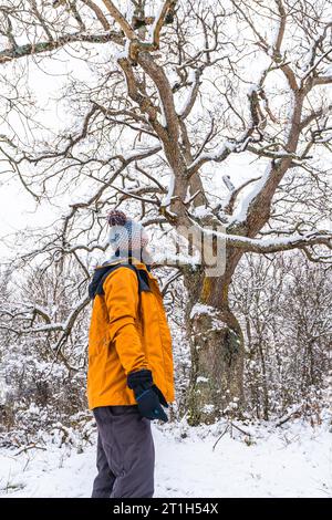 A young woman in a yellow jacket under a beautiful giant tree frozen by the winter cold. Snow in the town of Opakua near Vitoria in Araba, Basque Stock Photo