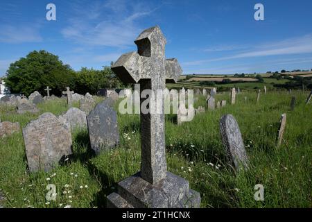 Gravestone with crucifix amongst Daisies, St Peter's Church, Ugborough, Devon, England, UK Stock Photo