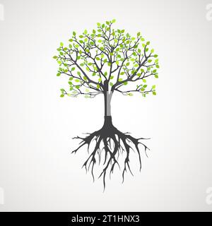 Abstract tree with roots. Vector outline illustration. Plant in Garden. Stock Vector