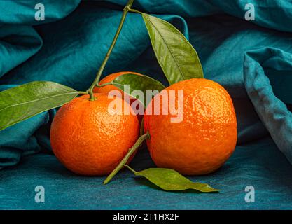 orange tangerines on a dark emerald canvas close-up Stock Photo