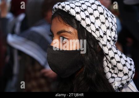 A young Palestinian woman wearing a Keffiyeh attends a protest in Times