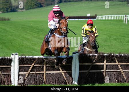 Balboa and Harry Reed win the Champion Hats Juvenile Hurdle for trainer Milton Harris and owner Mrs Kate Kenyon.. Credit JTW Equine Images / Alamy Live News Stock Photo