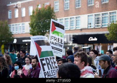 Free Palestine protest Exeter city centre - close-up of signage against Clarks shoe shop logo in high street Stock Photo