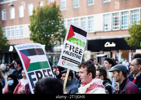 Free Palestine protest Exeter city centre - close-up of signage against Clarks shoe shop logo in high street Stock Photo