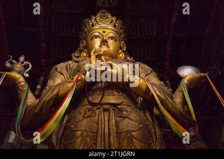 The huge golden buddha statue of Migjid Janraisig, Ulaanbaatar Stock Photo