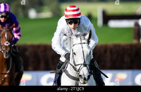 Chepstow, Wales, United Kingdom. Saturday 14th October 2023; Unexpected Party and jockey Harry Skelton win the Happy Birthday Sue Novices' Steeple Chase for trainer Dan Skelton and owner's O'Reilly MacLennan Tynan Carthy Shanahan.  Credit JTW Equine Images / Alamy Live News Stock Photo