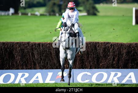 Chepstow, Wales, United Kingdom. Saturday 14th October 2023; Unexpected Party and jockey Harry Skelton win the Happy Birthday Sue Novices' Steeple Chase for trainer Dan Skelton and owner's O'Reilly MacLennan Tynan Carthy Shanahan.  Credit JTW Equine Images / Alamy Live News Stock Photo