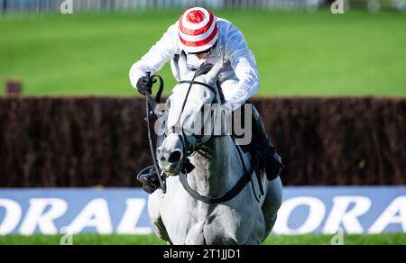 Chepstow, Wales, United Kingdom. Saturday 14th October 2023; Unexpected Party and jockey Harry Skelton win the Happy Birthday Sue Novices' Steeple Chase for trainer Dan Skelton and owner's O'Reilly MacLennan Tynan Carthy Shanahan.  Credit JTW Equine Images / Alamy Live News Stock Photo