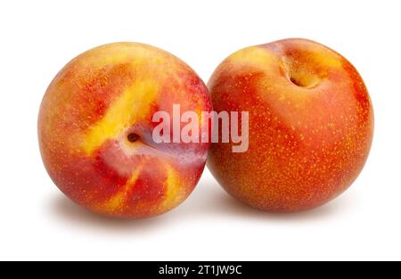 plum path isolated on white Stock Photo