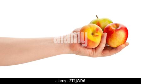 apple in hand path isolated on white Stock Photo