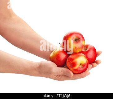 apple heap in hand path isolated on white Stock Photo