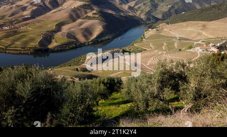 View of the terraced vineyards in the Douro Valley and river near the village of Pinhao, Portugal. Concept for travel in Portugal and most beautiful p Stock Photo