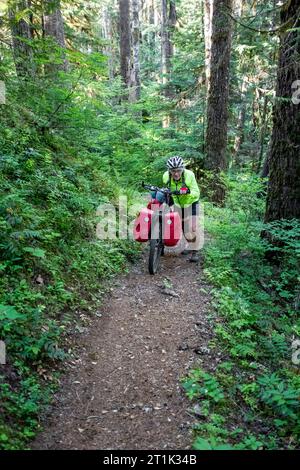 WA24545-00....WASHINGTON - Vicky Spring pushing her bicycle up a hill on the Lower Quilcene Trail in Olympic National Forest. MR# S1 Stock Photo