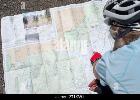 WA24558-00.....WASHINGTON - Vicky Spring checking the map while gravel bike touring in Olympic National Forest, Hood River Dristric.  Olympic Bikepack Stock Photo