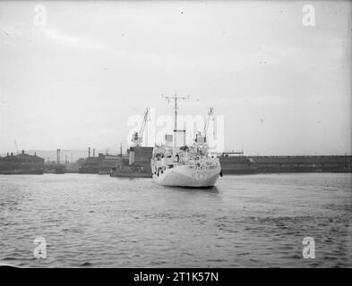 HMS Dianella (corvette). 25 January 1943, Royal Albert Dock. Stern view. Stock Photo