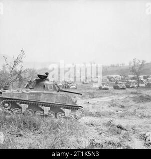 ITALY : THE ASSAULT ON THE GUSTAV LINE - A batch of German prisoners ...